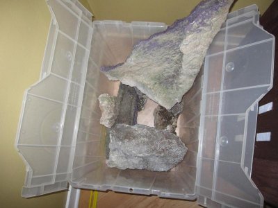 moving sale for reef 051.jpg