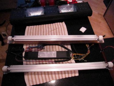 moving sale for reef 057.jpg