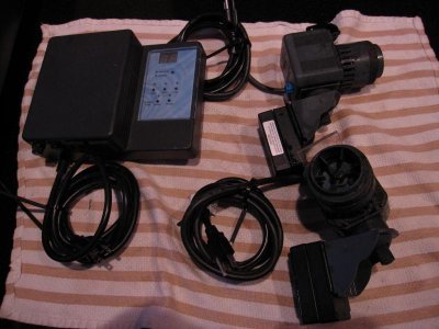 moving sale for reef 052.jpg