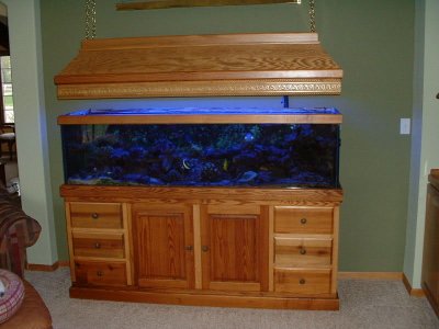 aquarium 1.jpg