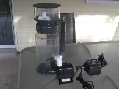 IMG_0881 (Custom).jpg