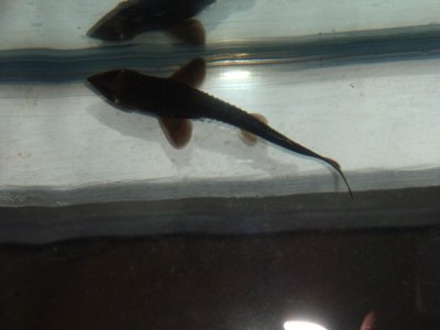 DSC01207web.JPG