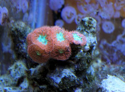 IMG_6773.JPG