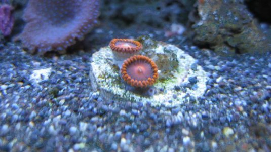 IMG_0440.jpg