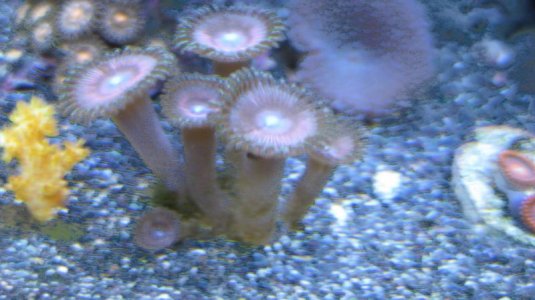 IMG_0443.jpg