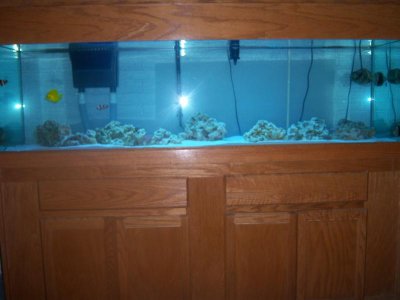 random 1-21-10 012.jpg
