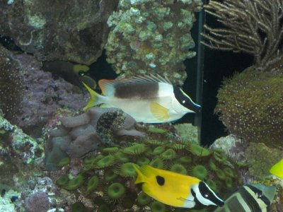 DSCN0219.jpg
