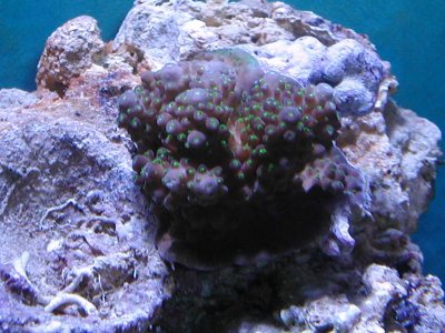 P1010021.jpg