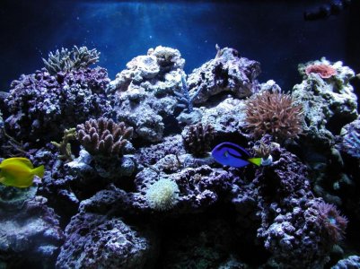 P1010027.jpg