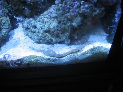 2010103 0231.jpg