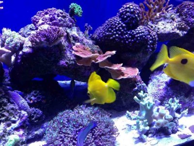 ImageUploadedByTapatalk HD1376771639.298414.jpg