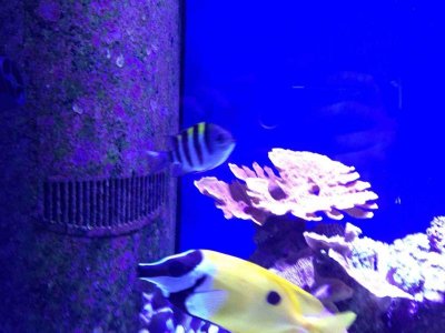 ImageUploadedByTapatalk HD1376771659.703753.jpg