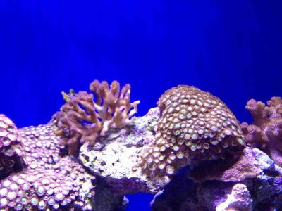 ImageUploadedByTapatalk HD1376771779.559657.jpg