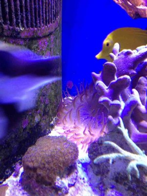 ImageUploadedByTapatalk HD1376772012.328461.jpg