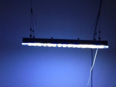 ImageUploadedByTapatalk HD1376772042.490078.jpg