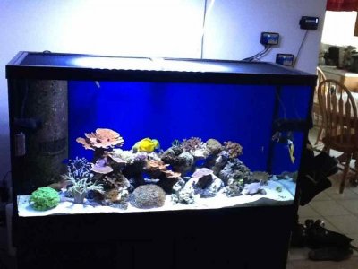 ImageUploadedByTapatalk HD1376772058.554340.jpg