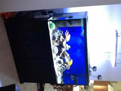 ImageUploadedByTapatalk HD1376772074.753209.jpg