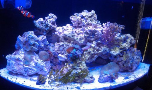 IMAG0452.jpg