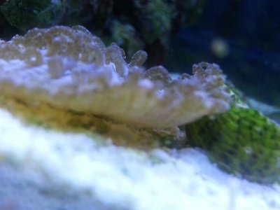 20130817_210543.jpg