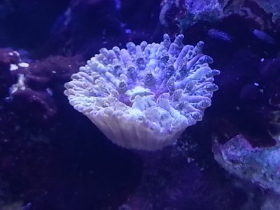 mini-20130615_171811.jpg