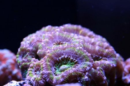 IMG_1992.jpg