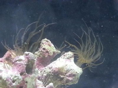 20130730_174005.jpg