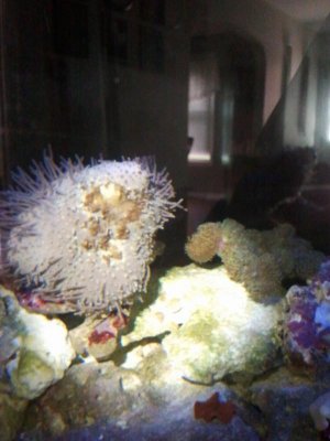 2013-08-19 09.32.07.jpg