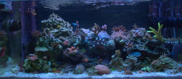 FTS1before.jpg