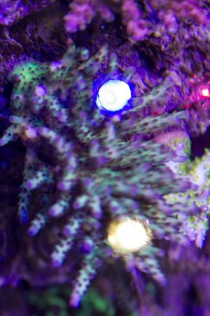 Rainbows In spain.jpg