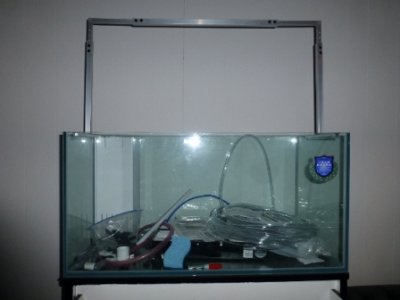 P1010148.JPG