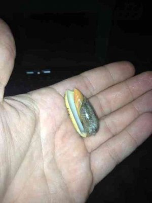 ImageUploadedByTapatalk 21376966606.792011.jpg