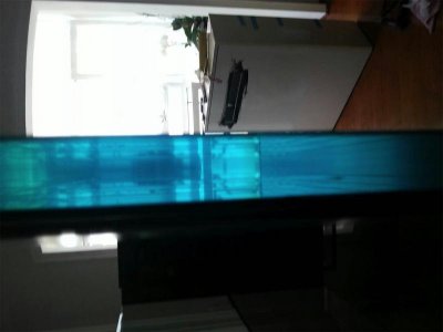 uploadfromtaptalk1375388804266.jpg