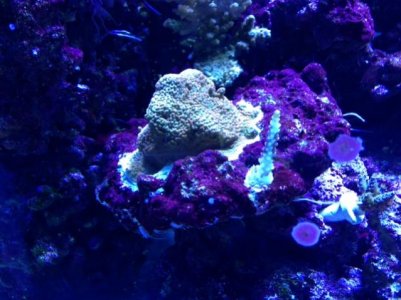 photo (4).jpg