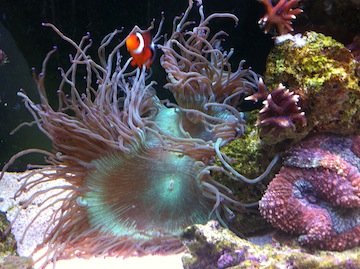 IMG_1113.jpg