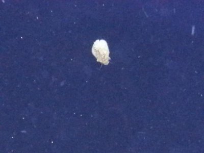 20130731_214802.jpg