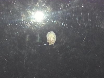 20130731_214603.jpg
