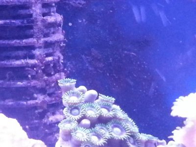 20130802_020130.jpg