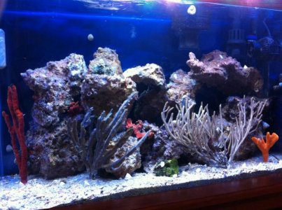 FTS 8-21-13 resize.jpg FTS 8-21-13 resize.jpg