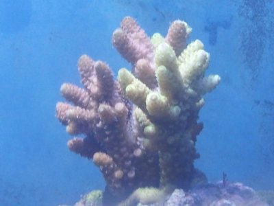 20130819_183546.jpg