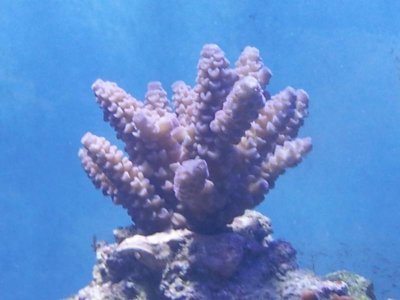 20130819_183540.jpg
