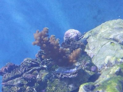 20130819_183616.jpg