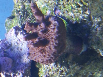 20130820_212606.jpg
