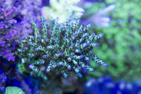 Rainbows In Spain.jpg