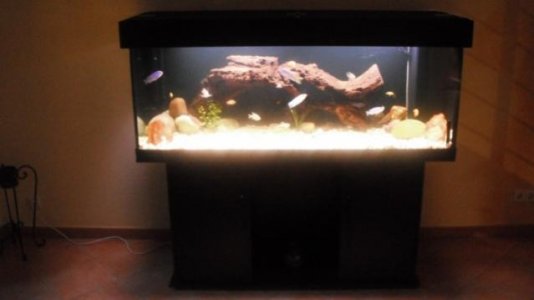 DSCF0254 (640x360).jpg