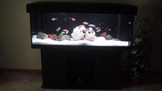 DSCF0360 (640x360).jpg