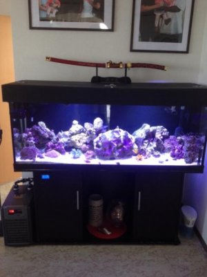 2012-08-15 007 (480x640).jpg