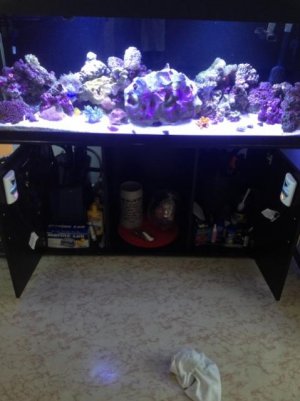 2012-08-15 012 (480x640).jpg