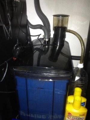 2012-08-15 001 (480x640).jpg