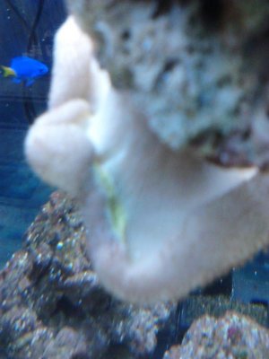 IMG_20130804_123151.jpg