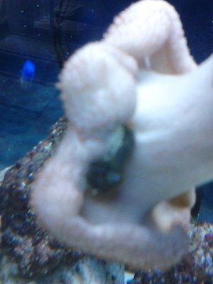 IMG_20130804_123116.jpg